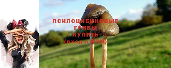 таблы Нефтегорск